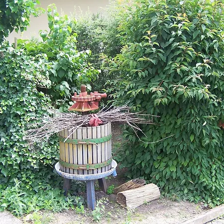 Gaestehaus Gaby ゲストハウス バート・ベリンゲン