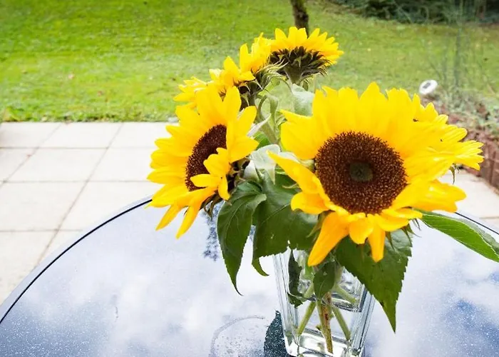 ゲストハウス Gaestehaus Gaby バート・ベリンゲン